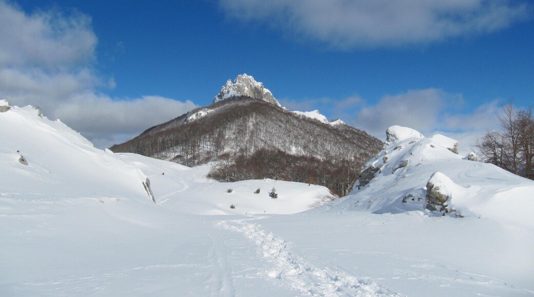 Snowshoeing at Mt. Visočica in Bosnia and Herzegovina. Just approx. 1 and half hour of driving from Sarajevo town.
The Mount Visočica is full of vast meadows, beech forests and stunning views
#BosniaandHerzegovina #HikingTheBalkans #Balkans #nature #mountains #dinaricalps #viadinarica