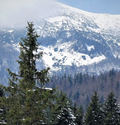 Igman is a mountain plateau in central Bosnia and Herzegovina.
Geologically it is part of the Dinaric Alps, a mountain range in Southern and
South-Eastern Europe, separating the continental Balkan Peninsula from the Adriatic Sea.