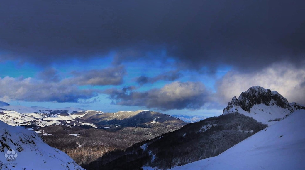 Snowshoeing in Bosnia.
We had awesome view of Puzim Summit during or hike to the Crveni Kuk Summit.
🏔 Visocica Mountain, Bosnia and Herzegovina
#WildInTheBalkans #Mountains #Winter #Snow #Hike #ViaDinarica