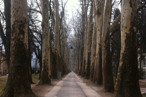 This path through the forest will lead you to the spring of Bosna river, famous tourist attraction. If you don't want to walk you can take a carriage ride.