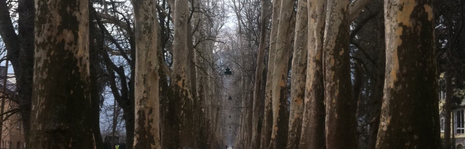 This path through the forest will lead you to the spring of Bosna river, famous tourist attraction. If you don't want to walk you can take a carriage ride.