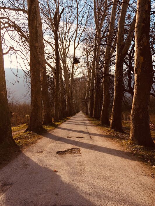 This road and the park at the end of this road is so beautiful it feels like it is from a different planet. It is in Bosnia Herzegovina, around 30 minutes to Sarajevo. 
#Perspectives