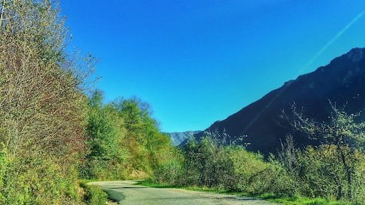 This is road we took to get to the Šćepan Polje border crossing between Bosnia Herzegovina and Montenegro. The road is very narrow and winding but the view is beautiful. Do not go too fast because it's two way traffic and there's a lot of cows on the road.