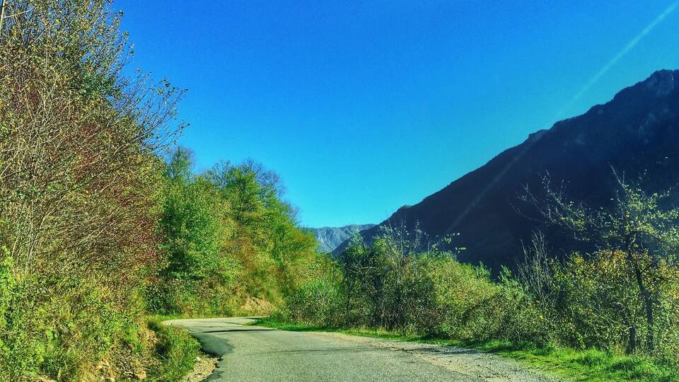 A winding mountain road flanked by dense shrubbery and a mountain range under a clear blue sky.