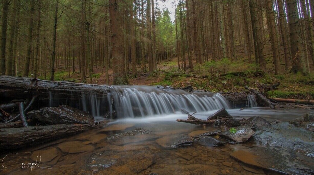 Belgium Trails : Great hikes in the forests around Xhoffraix. Enjoy the silence and follow the little streams through the woods.