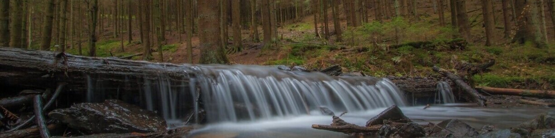 Belgium Trails : Great hikes in the forests around Xhoffraix. Enjoy the silence and follow the little streams through the woods.