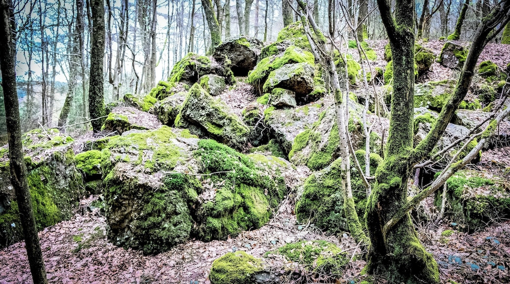 La carrière de poudingue
On peut voir à cet endroit un amoncellement d'énormes blocs de poudingue, matériau de construction des dolmens et menhirs.