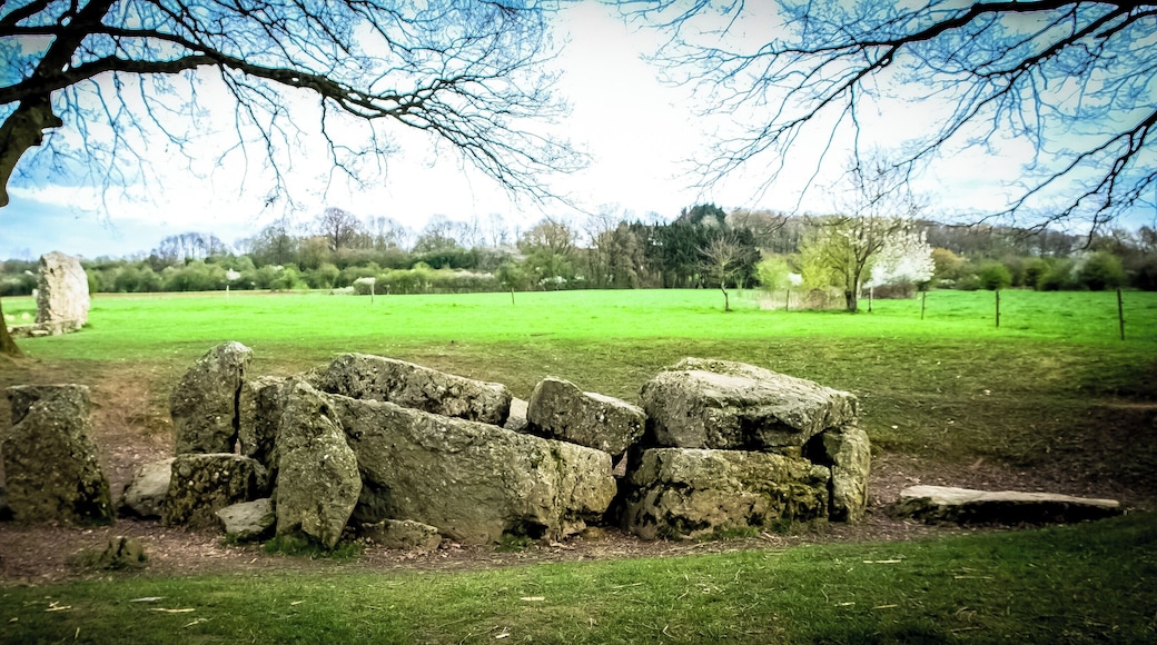 Le dolmen d'Oppagne est de type "allée couverte". C'est une tombe collective érigée entre 3.000 et 2.800 avant notre ère par des populations d'agriculteurs du Néolithique apparentées à la culture de "Seine-Oise-Marne".