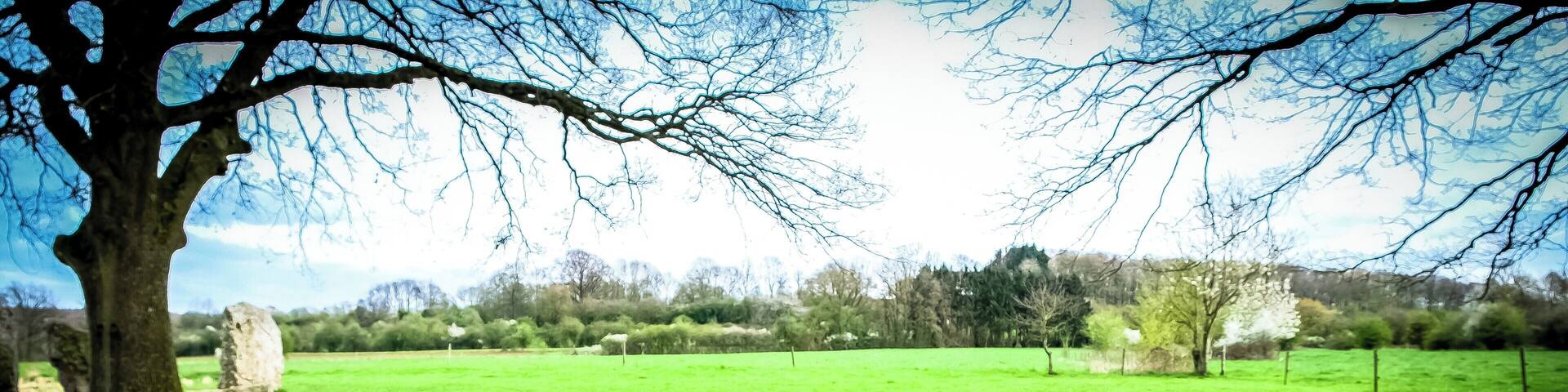 Le dolmen d'Oppagne est de type "allée couverte". C'est une tombe collective érigée entre 3.000 et 2.800 avant notre ère par des populations d'agriculteurs du Néolithique apparentées à la culture de "Seine-Oise-Marne".