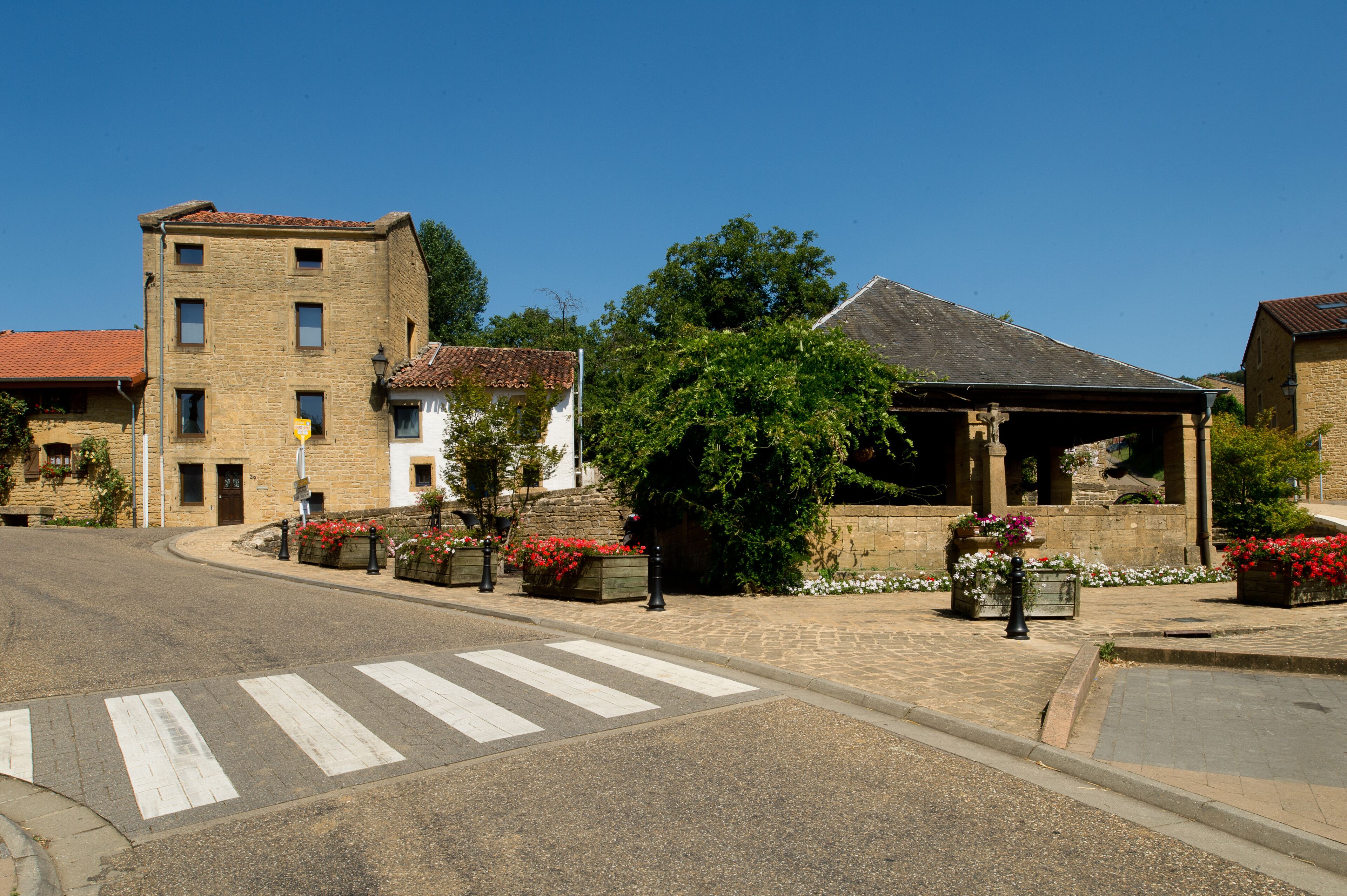 A cobblestone street with a pedestrian crossing, buildings with stone facades, and flower boxes with red flowers.