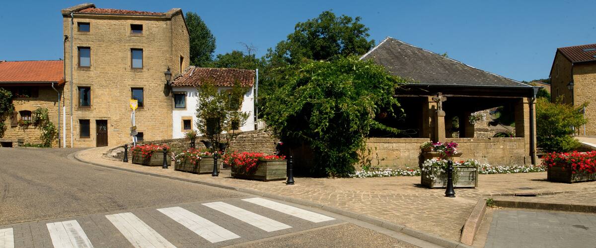 A cobblestone street with a pedestrian crossing, buildings with stone facades, and flower boxes with red flowers.