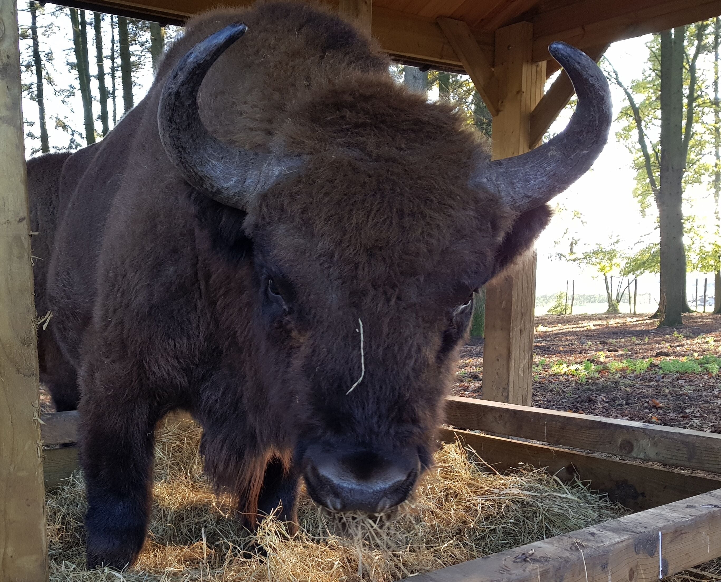 Don't you touch my food ! 