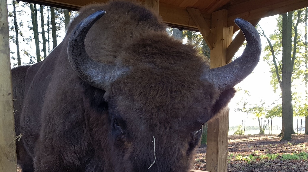 Don't you touch my food !