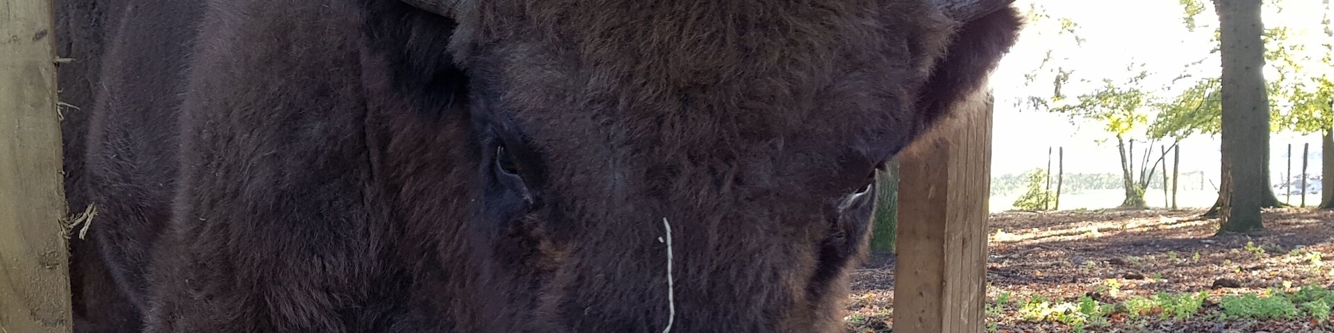 Don't you touch my food !