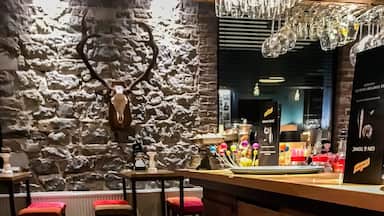 A bar with stools, a stone wall, and a mounted deer head.