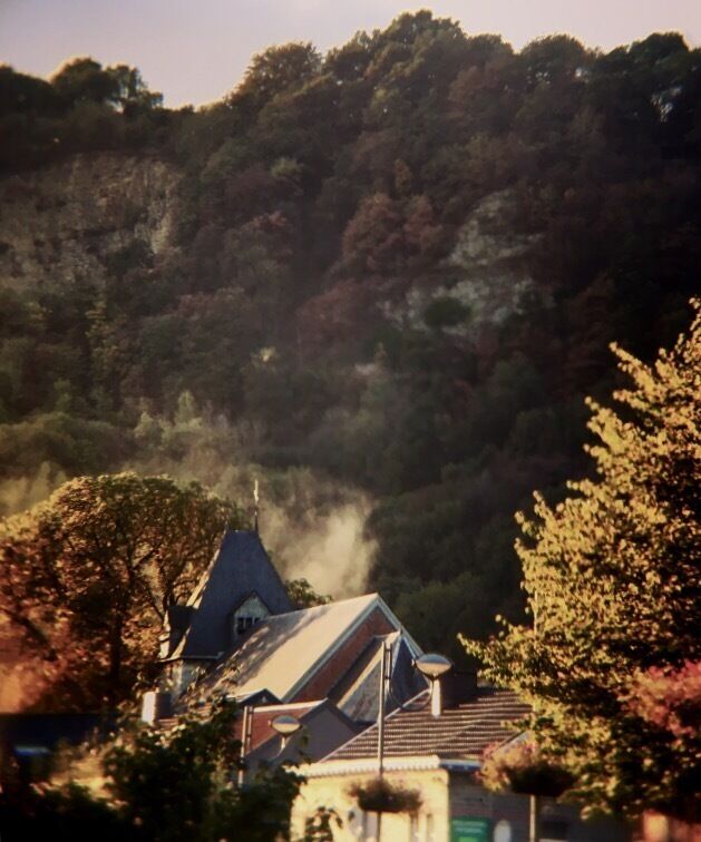 Racines 🌳🌲🌱🏞