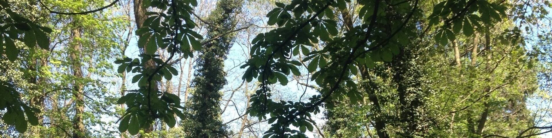 Mon coin de paradis.
Remouchamps ❤️