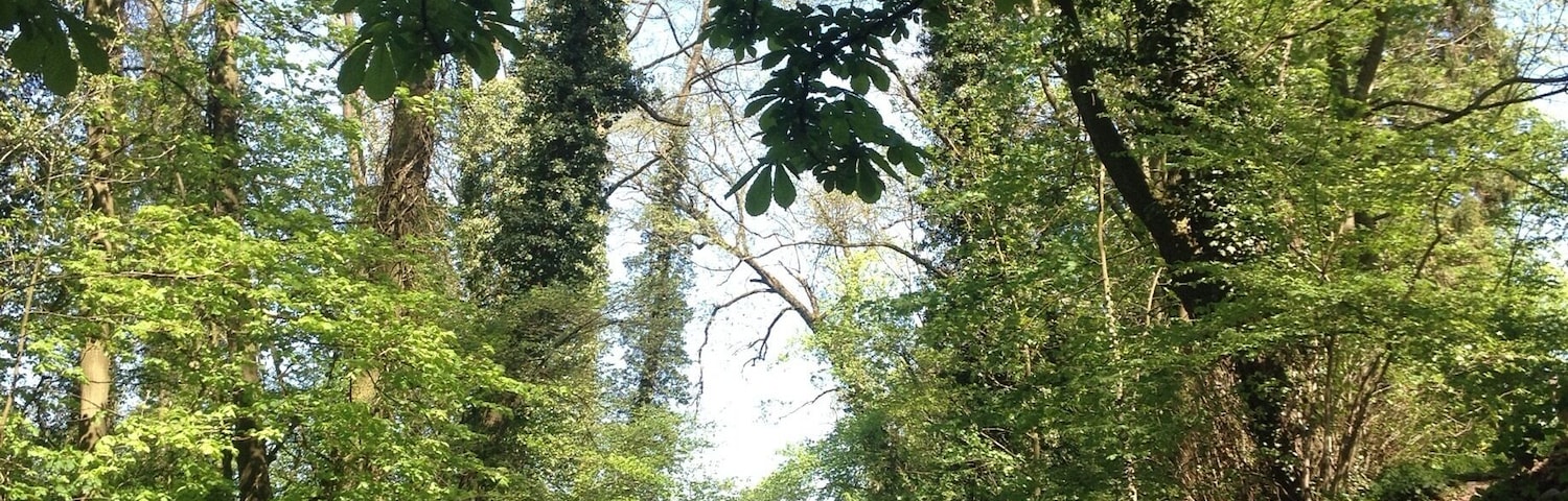 Mon coin de paradis. 
Remouchamps ❤️