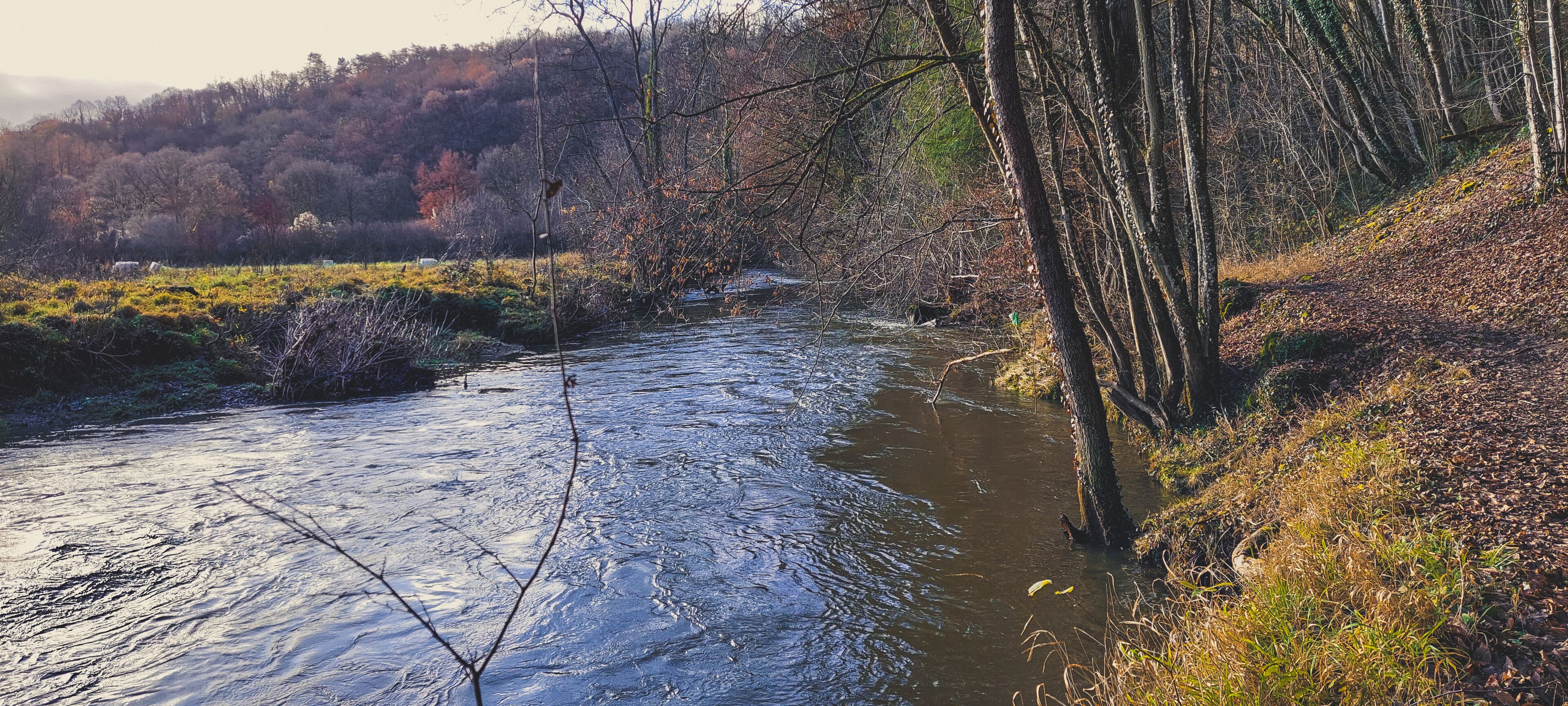 View on Viroin river in the forest surrounding the village of Viroinval in Belgium.