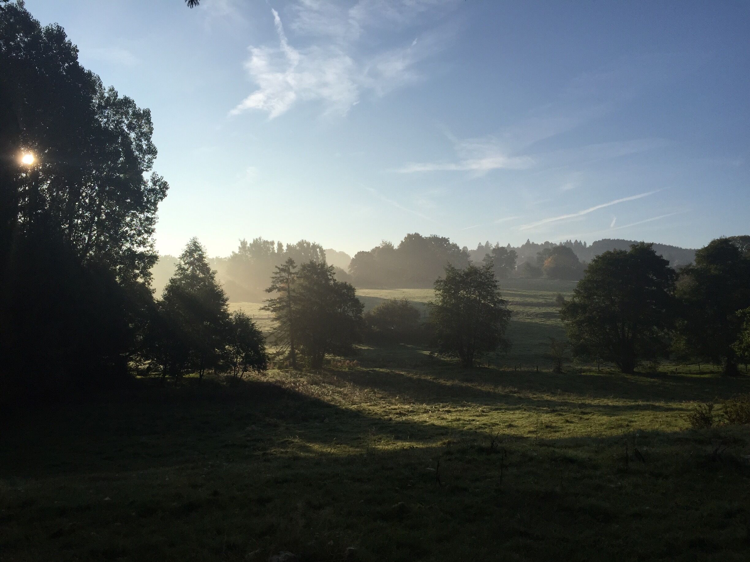 Breathtaking landscape walking the dog early morning in the Belgian Ardennes near vacation home Gite A l’ombre du vieux poirier - in the shade of the old pear tree #LikeALocal