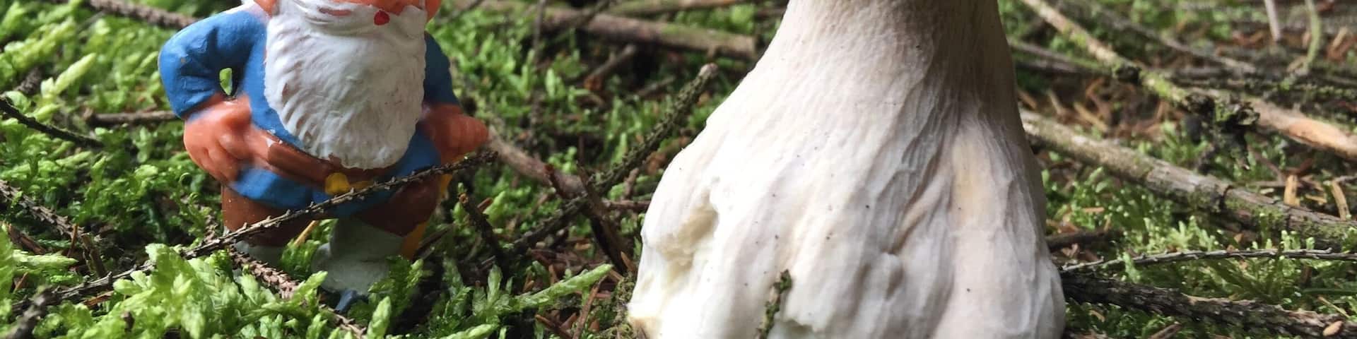 Having fun with David de boskabouter (the gnome) in Malempré!