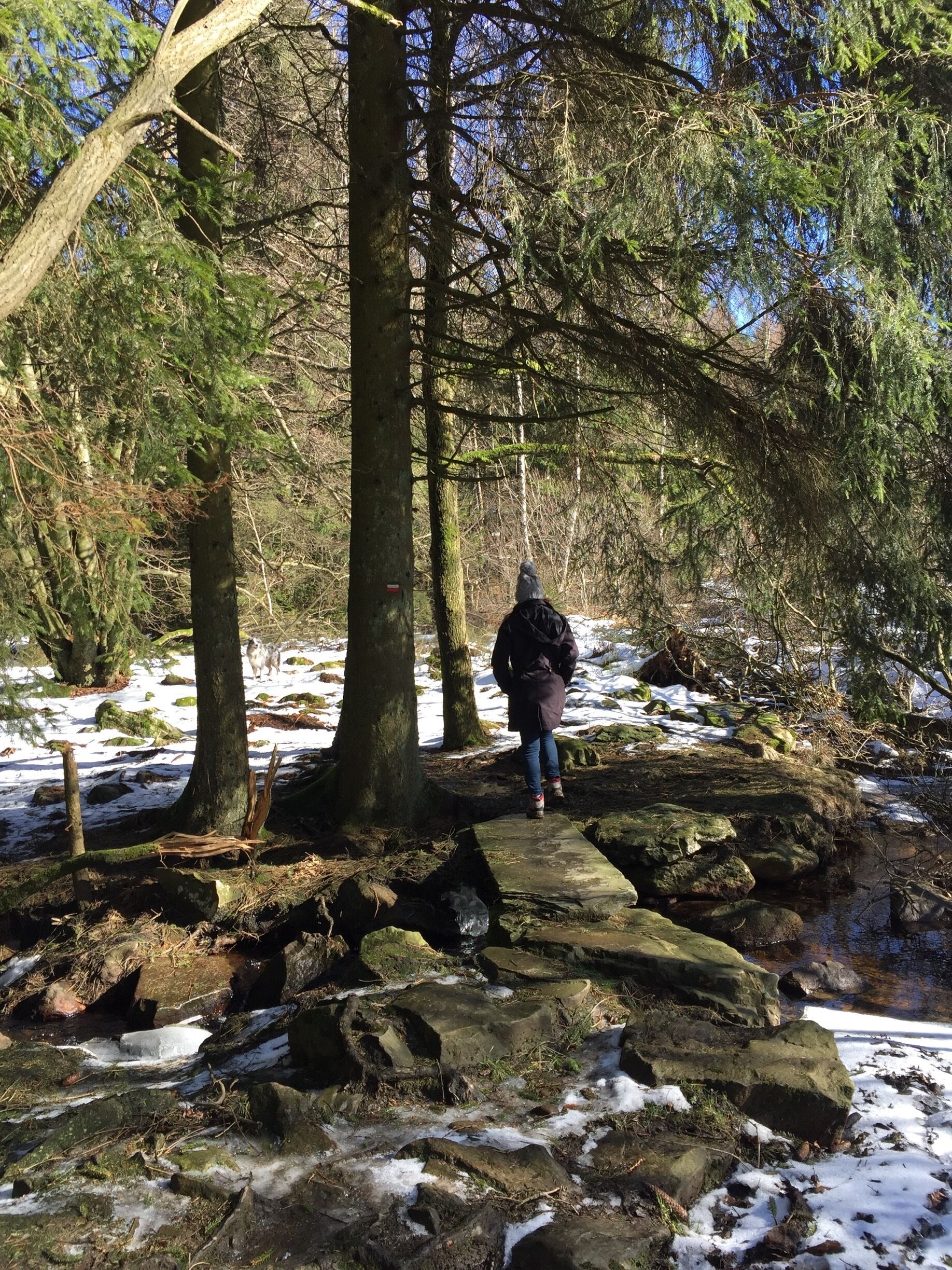 Along GR14 in Odeigne , one of my favourite spots when staying at #giteaombreduvieuxpoirier in Malempré
