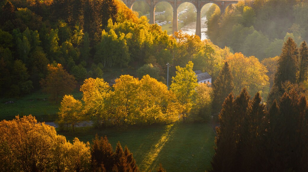 Ardennes, Belgium. Sunrise in countryside and forest near Herbeumont with wonderful viaduc of Hebeumont Viaduc of Conques across Semois river. Luxembourg province, Ardennes region, Wallonia, Belgium.