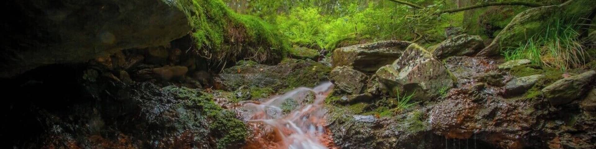 A belgium trail:
The Longfaye walk in the Ardennes, close to Ovifat, is a beautiful route crossing many wooden bridges, rocky paths, the Pouhon river and Cascade de Bayehon. You can start the walk at Moulin de Bayehon close to the little village Longfaye.
GPS coordinates: 50.4682 - 6.0917
Distance: 9 - 14Km
Difficulty: Easy #hiking