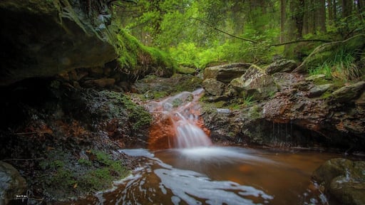 A belgium trail:
The Longfaye walk in the Ardennes, close to Ovifat, is a beautiful route crossing many wooden bridges, rocky paths, the Pouhon river and Cascade de Bayehon. You can start the walk at Moulin de Bayehon close to the little village Longfaye.
GPS coordinates: 50.4682 - 6.0917
Distance: 9 - 14Km
Difficulty: Easy #hiking