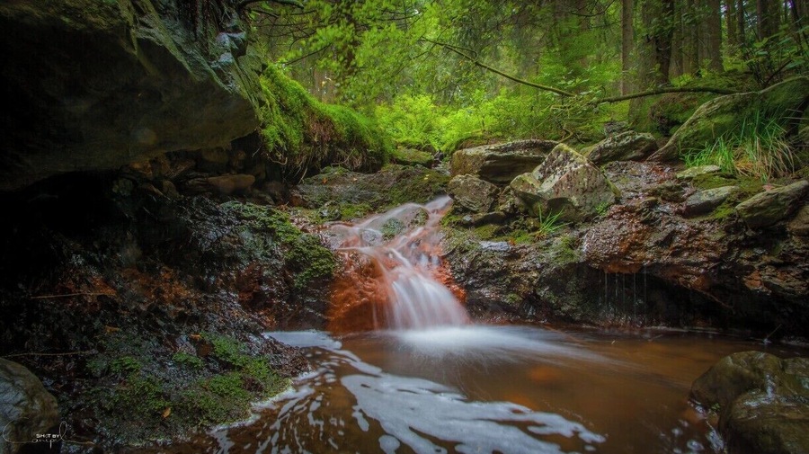 A belgium trail:
The Longfaye walk in the Ardennes, close to Ovifat, is a beautiful route crossing many wooden bridges, rocky paths, the Pouhon river and Cascade de Bayehon. You can start the walk at Moulin de Bayehon close to the little village Longfaye.
GPS coordinates: 50.4682 - 6.0917
Distance: 9 - 14Km
Difficulty: Easy #hiking