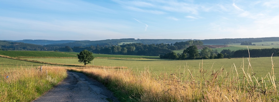 fields and forests in countryside landscape of belgian hautes fagnes