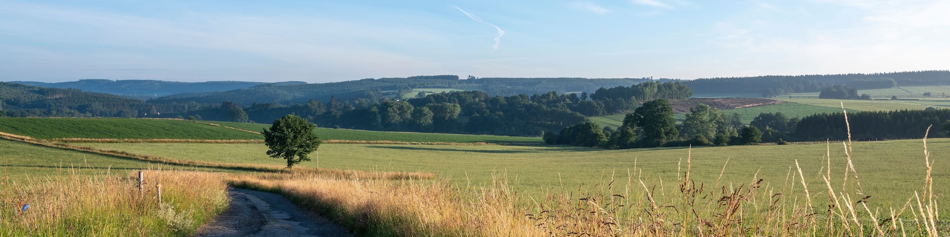 fields and forests in countryside landscape of belgian hautes fagnes