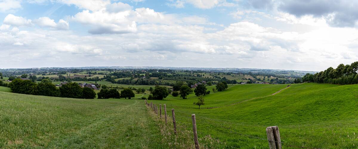 A green field with a wooden fence, rolling hills, and scattered trees in the distance.
