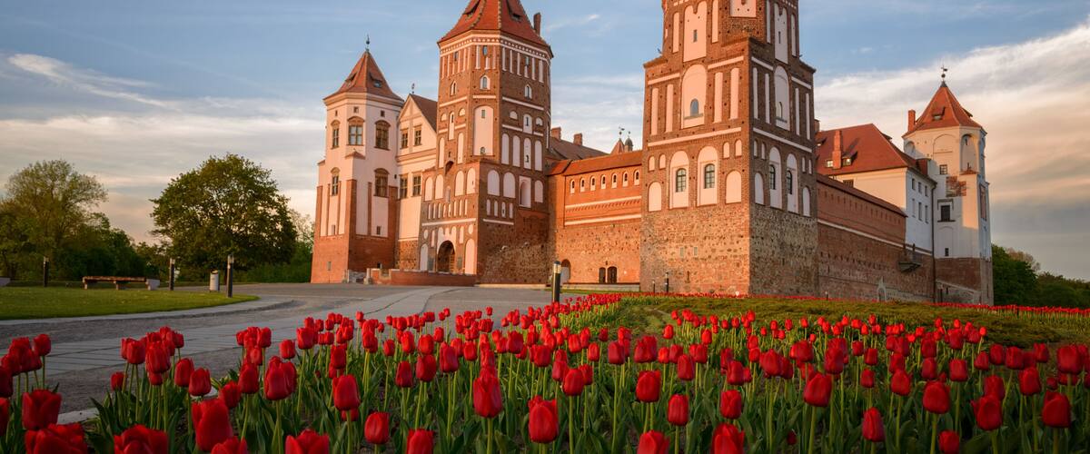 A historic building with multiple towers and a field of red tulips in front.