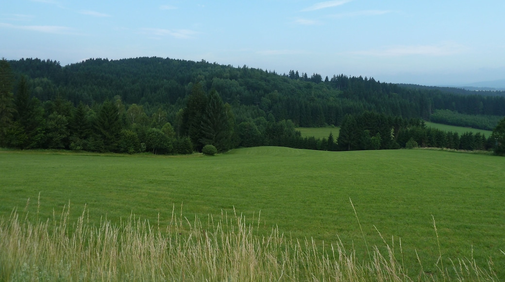 Gemeinde Ulrichsberg, Austria