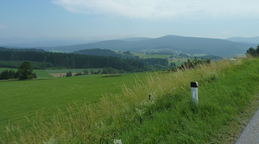 Gemeinde Ulrichsberg, Austria