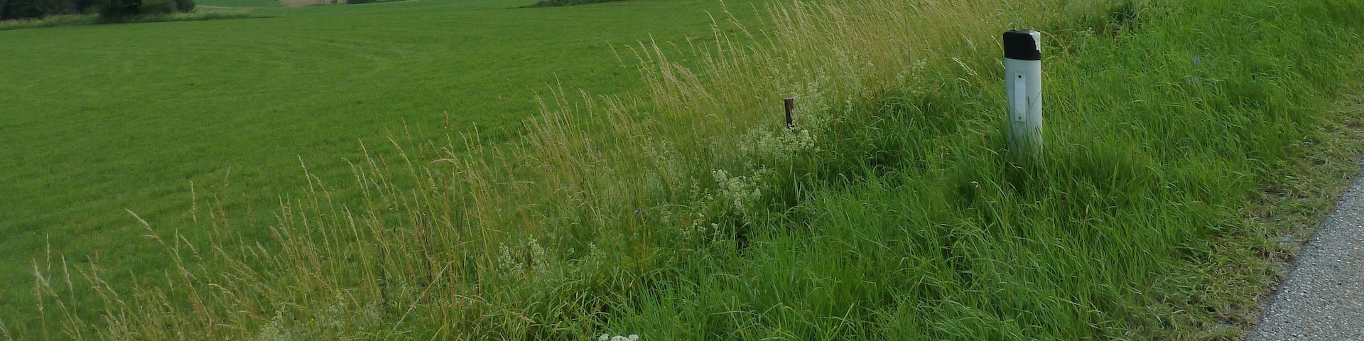 Gemeinde Ulrichsberg, Austria