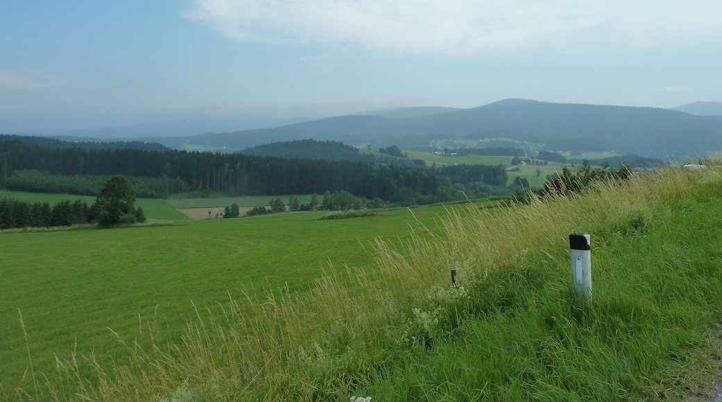Gemeinde Ulrichsberg, Austria