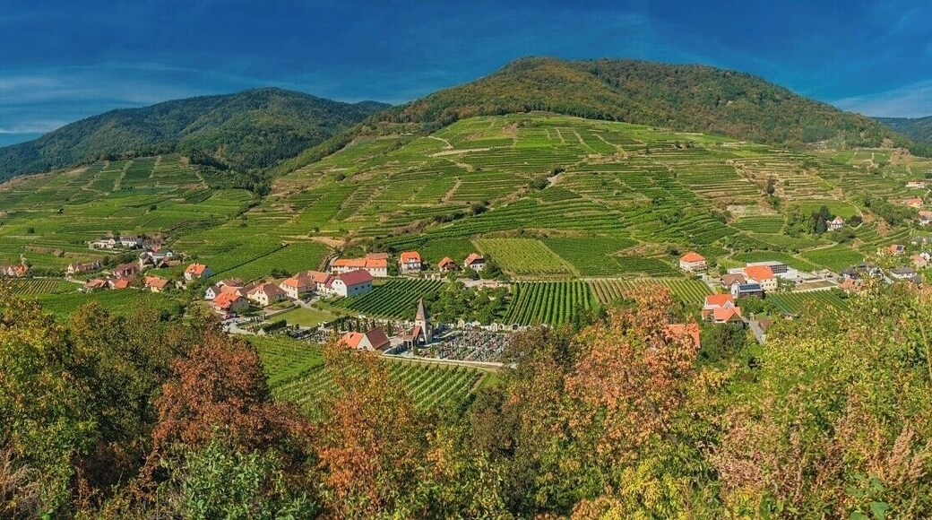 September 2016
Spitz, Wachau valley, Lower Austria
Spitz is a small village on the north bank of Danube river in the Wachau valley in Lower Austria.
Spitz is a small but appealing town with cobbled streets amidst vineyards, offering spectacular views of the Danube valley. It is 17 kilometres (11 mi) from Krems. Occupied since Celtic times, it was first mentioned in 830.
The best wine cultures produced there are the white Veltliners and Rieslings. Autumn is the harvest season and very worth of a visit.