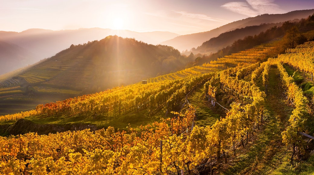 Austria, Lower Austria, Wachau, Spitz