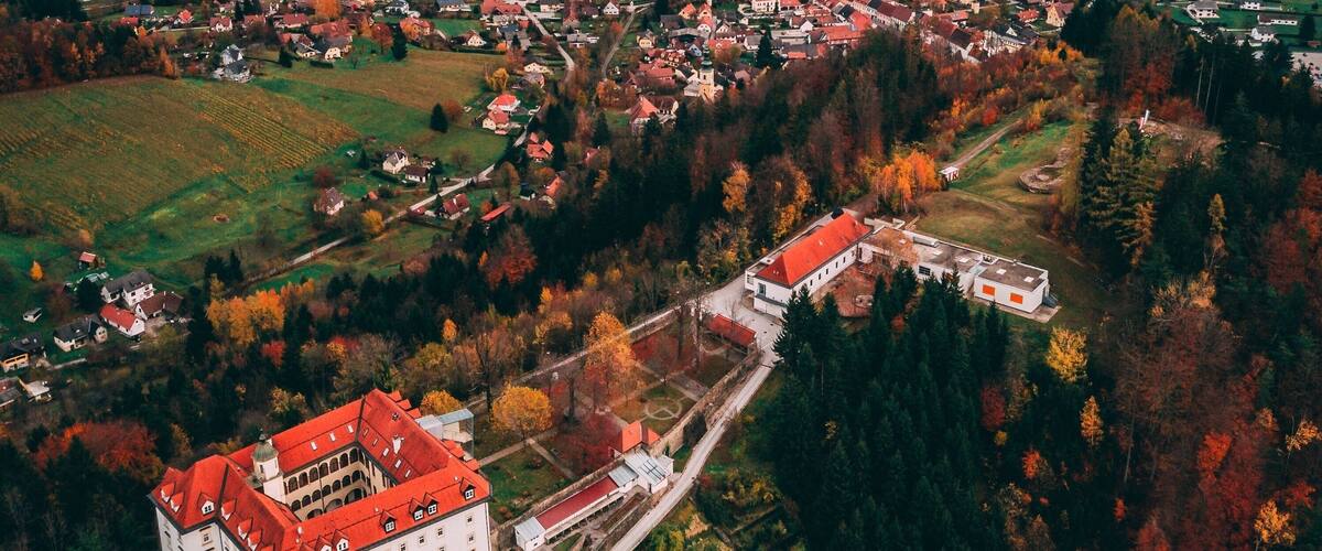 An aerial view of a town with a prominent castle-like building, surrounded by fields and forests.