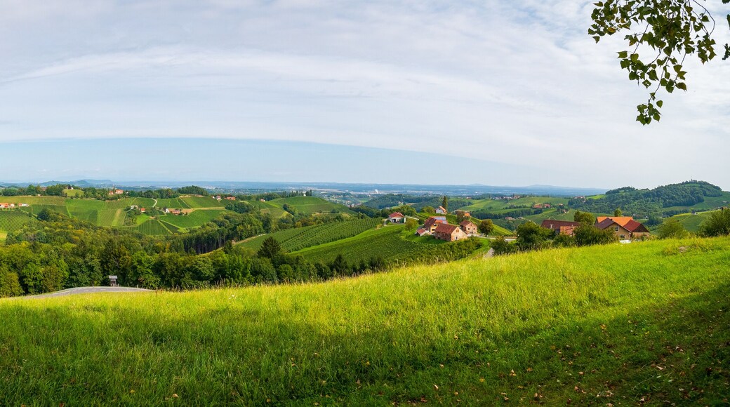 Weinberge in der Südsteiermark, Österreich, im Spätsommer