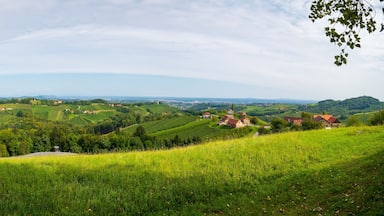Weinberge in der Südsteiermark, Österreich, im Spätsommer