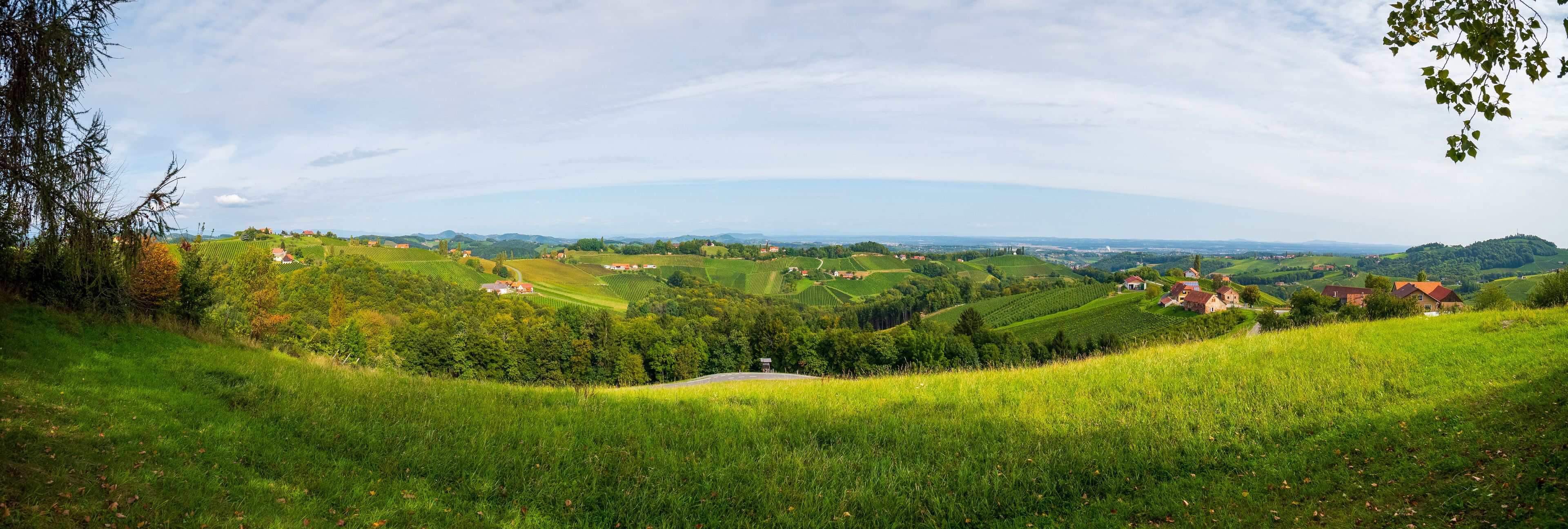 Rolling hills, vineyards, and scattered houses in a rural landscape.