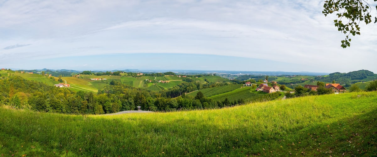 Rolling hills, vineyards, and scattered houses in a rural landscape.