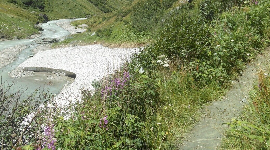 2 hours hike to the Clara hutte. Starting from the umbalfalle (a series of waterfalls coming from the eternal snow region), through a stunning nature. Great place to spot Edelweiss.