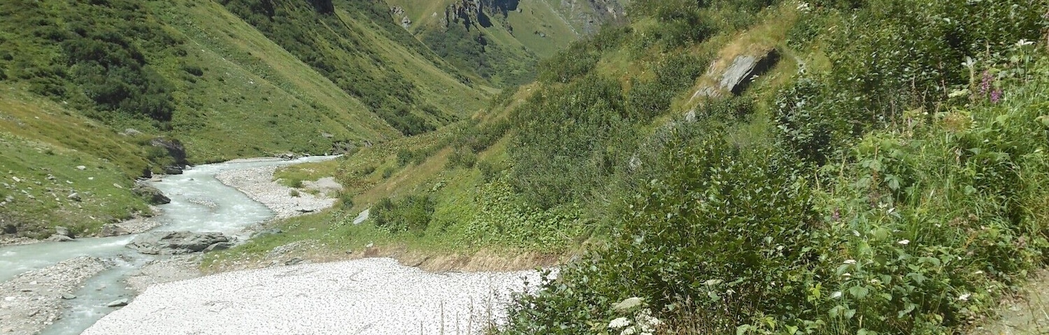 2 hours hike to the Clara hutte. Starting from the umbalfalle (a series of waterfalls coming from the eternal snow region), through a stunning nature. Great place to spot Edelweiss.