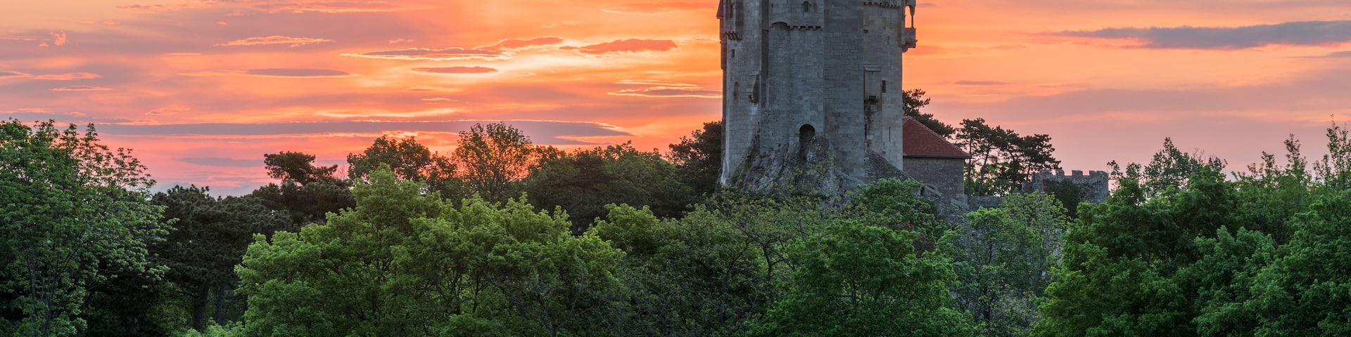 A medieval tower with a pointed roof, surrounded by dense green trees, under a sunset sky.
