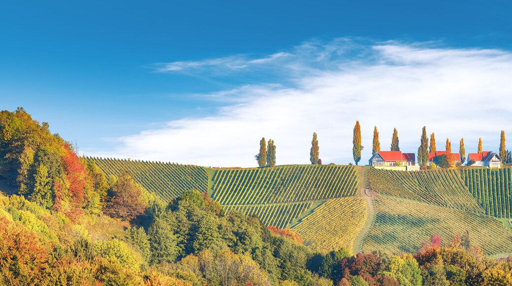 Breathtaking vineyards landscape in South Styria near Gamlitz.