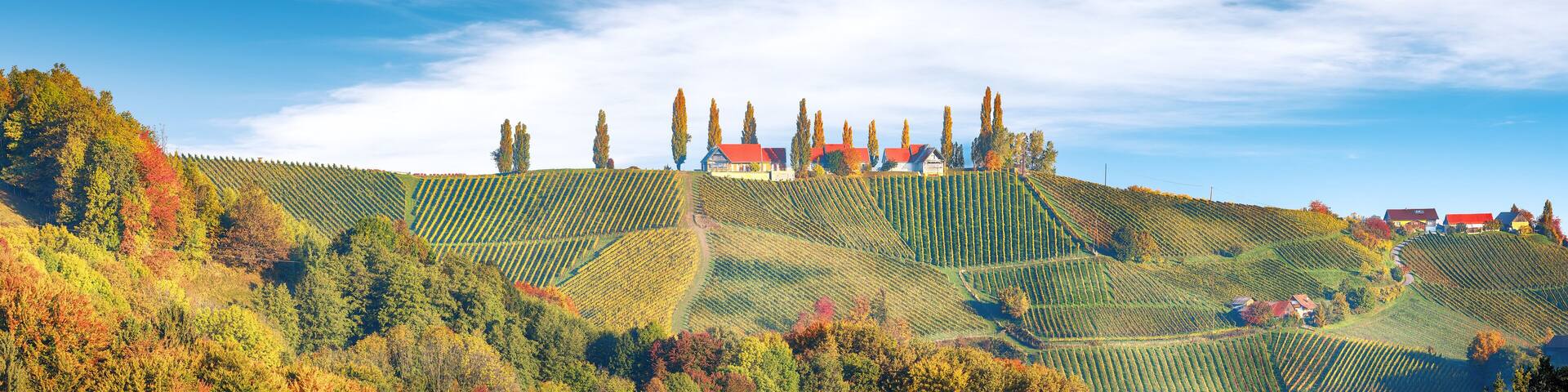 Breathtaking vineyards landscape in South Styria near Gamlitz.
